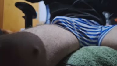 borcatto from Brazil