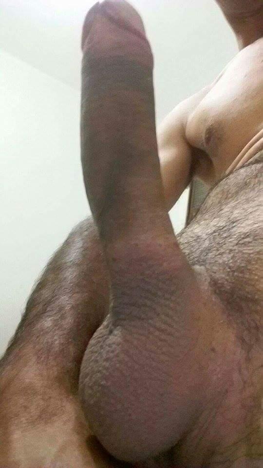 lamboxana from Brazil