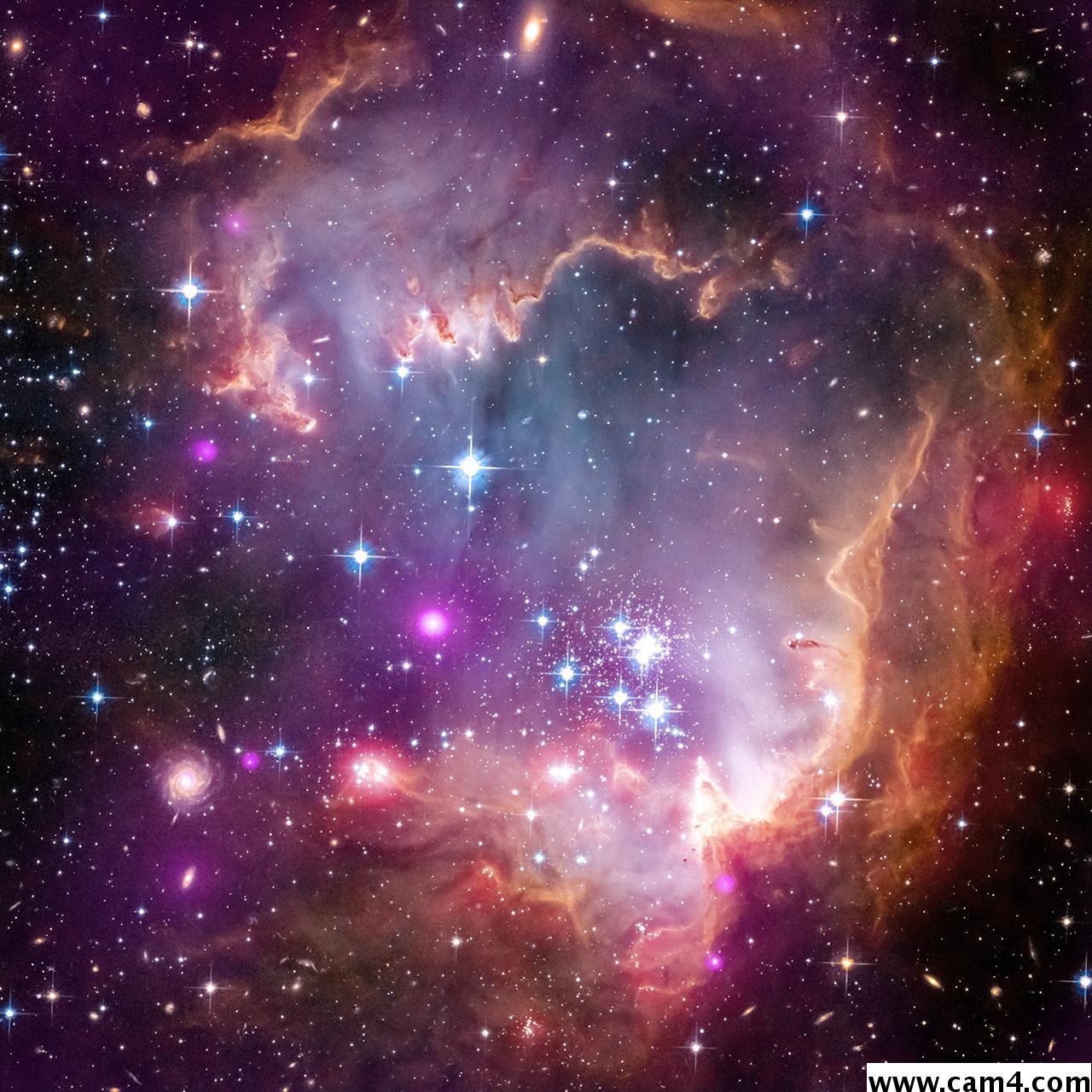puov1 from Italy