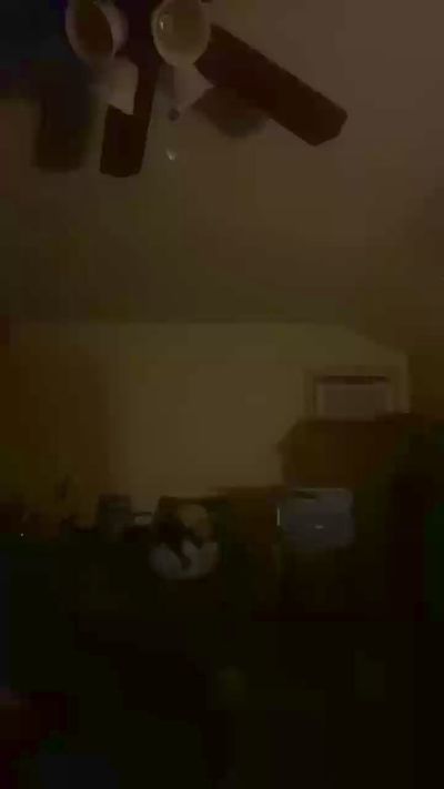 raytf from United States