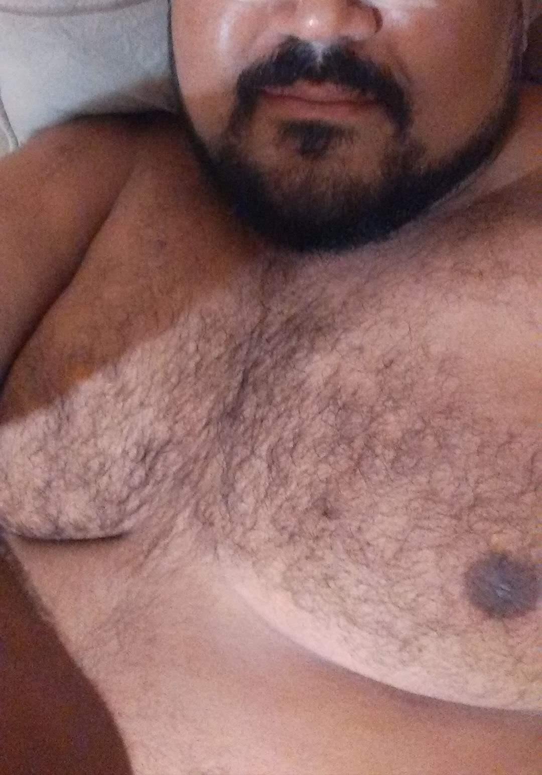 urso266 from Brazil